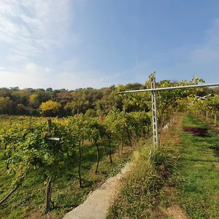 L'antico Granaio Lejlighed Negrar