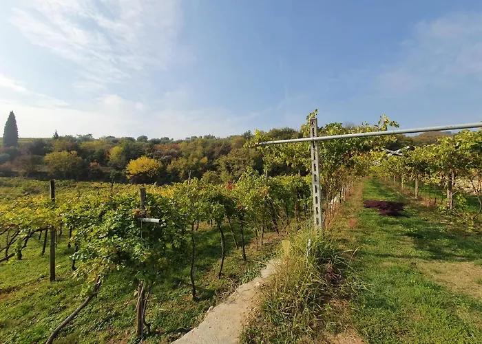 L'antico Granaio Appartement Negrar