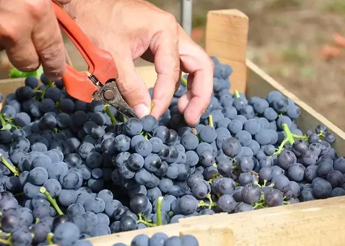 L'antico Granaio *